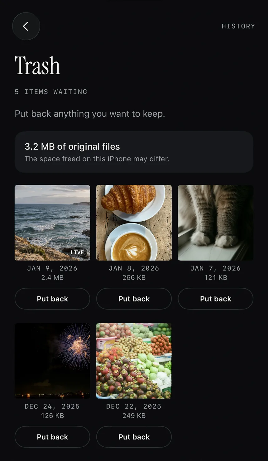 flickeep's Trash: five items waiting, each with a Put back button